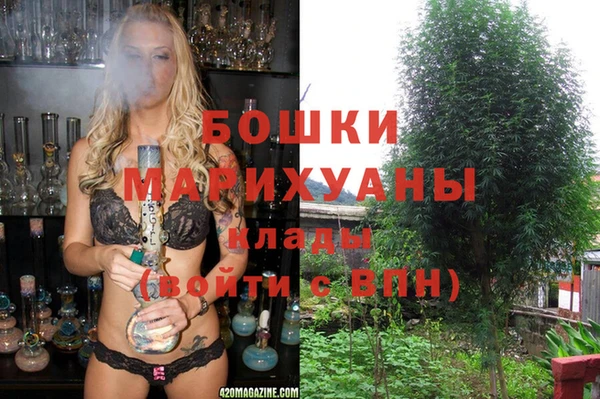 прущий лед Горняк