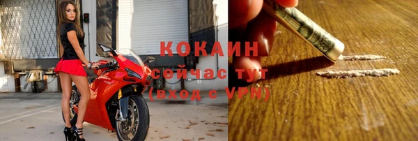 эйфоретик Гусев