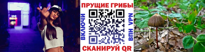 Галлюциногенные грибы GOLDEN TEACHER  Дмитриев 
